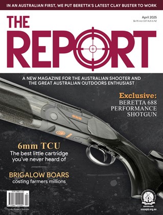 The Report